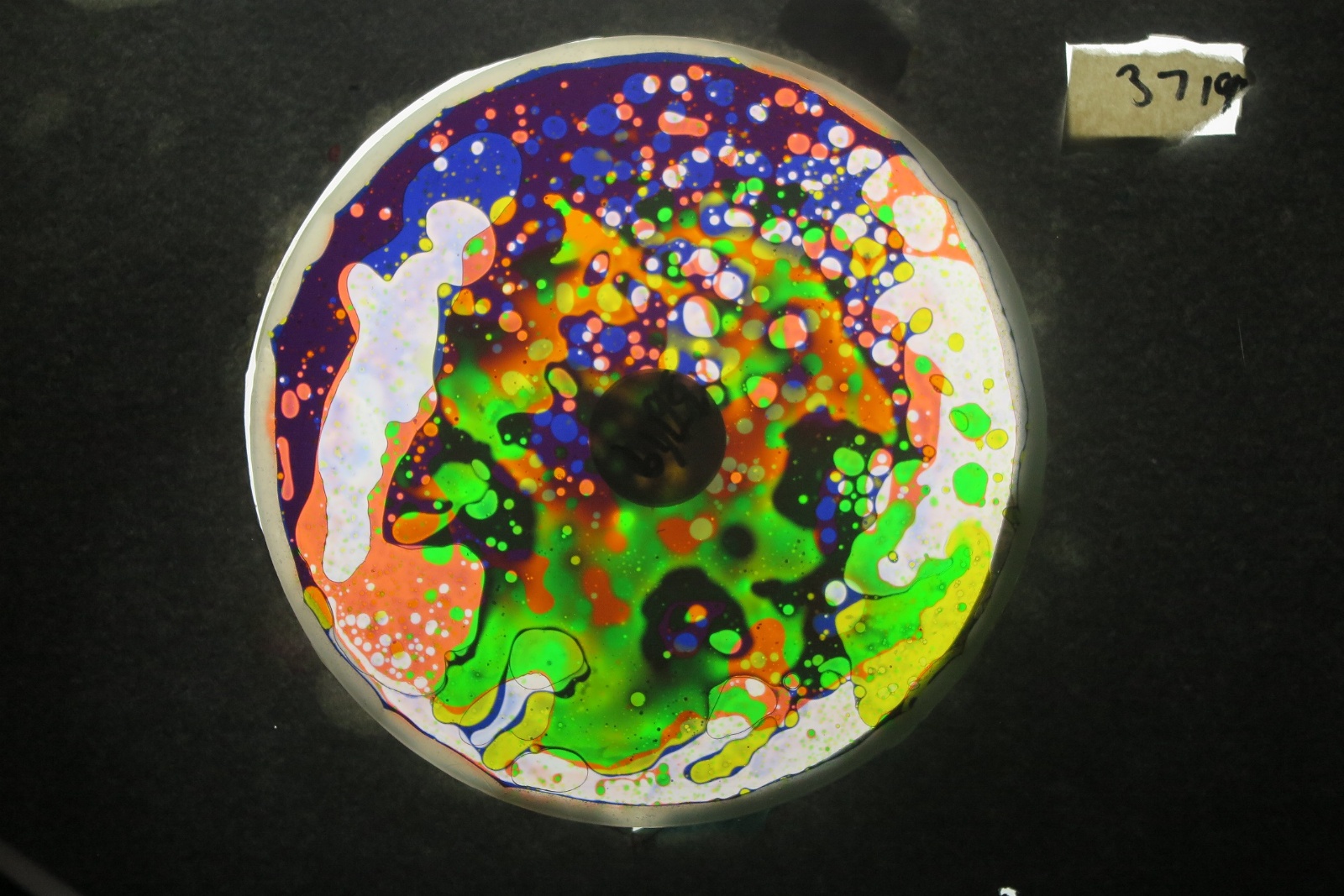 BV3719 bubble vision oil wheel